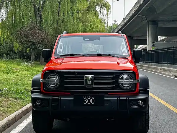 Tank 300 2025