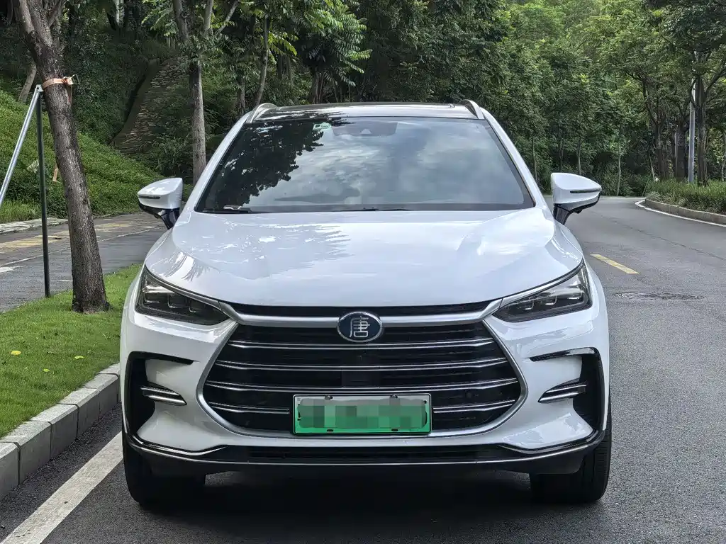 BYD Tang New Energy 2020