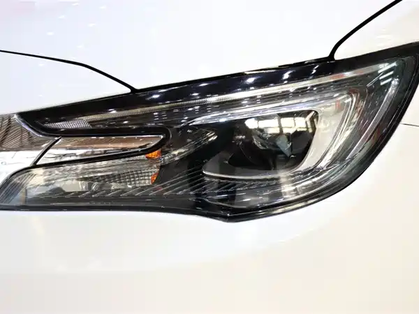 Buick GL6 2019