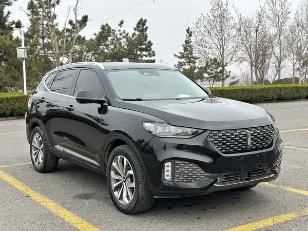 Wey VV6 2020