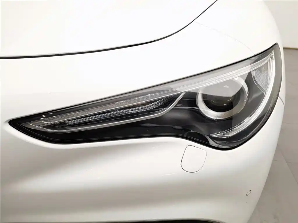 Alfa Romeo Stelvio 2019 — фото 7