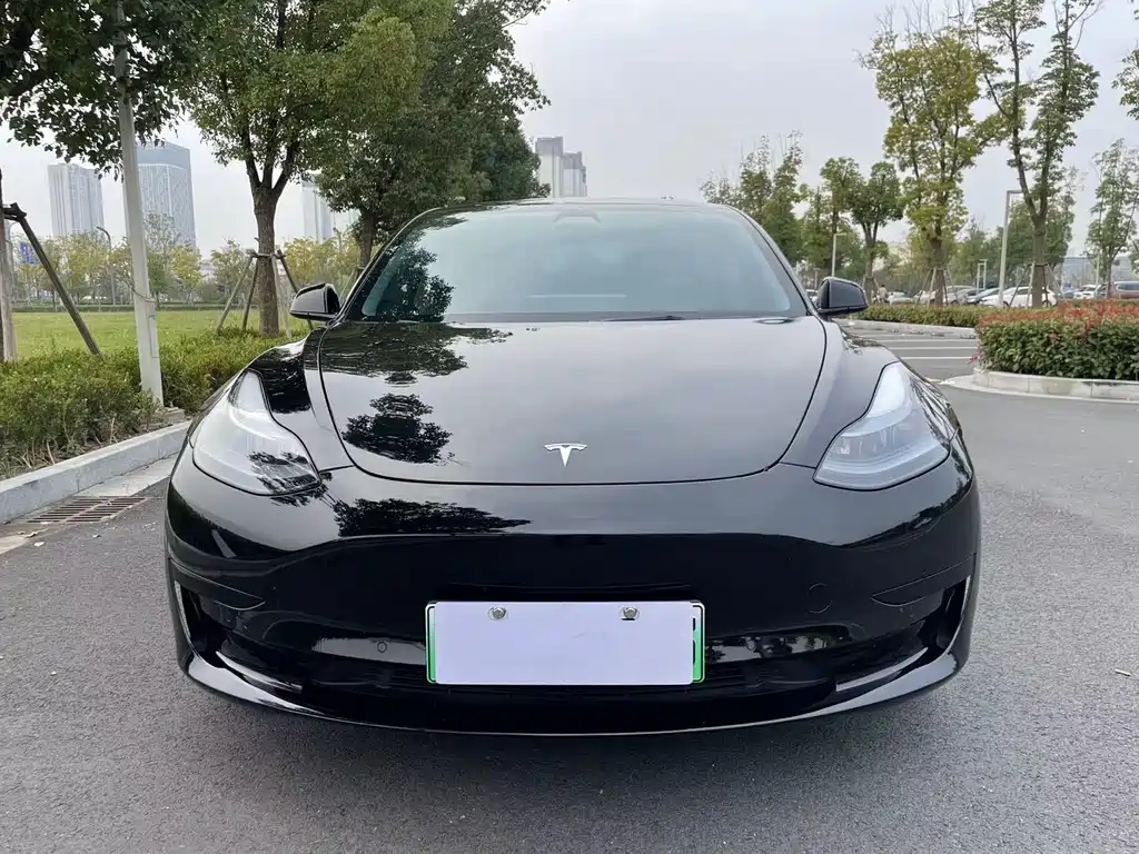 Tesla Model 3 2023 — фото 2