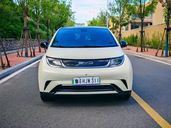 BYD Dolphin 2025