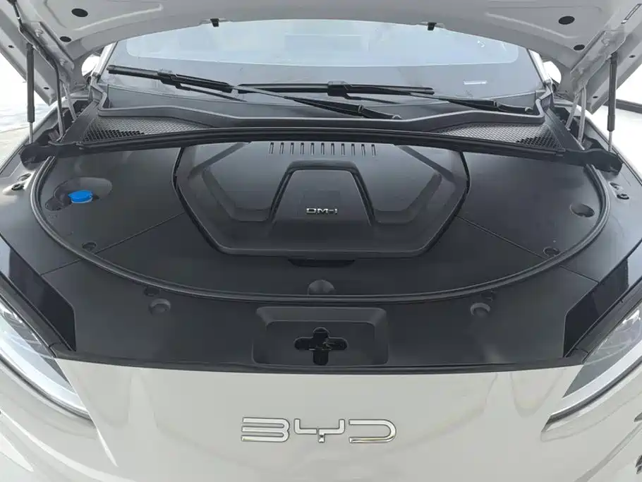 BYD Song PLUS New Energy 2024 — фото 10