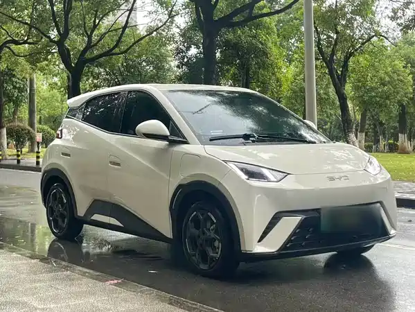 BYD Seagull 2024
