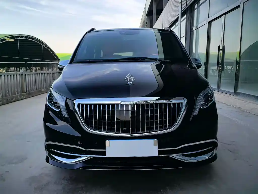 Mercedes-Benz V-Class 2019 — фото 2