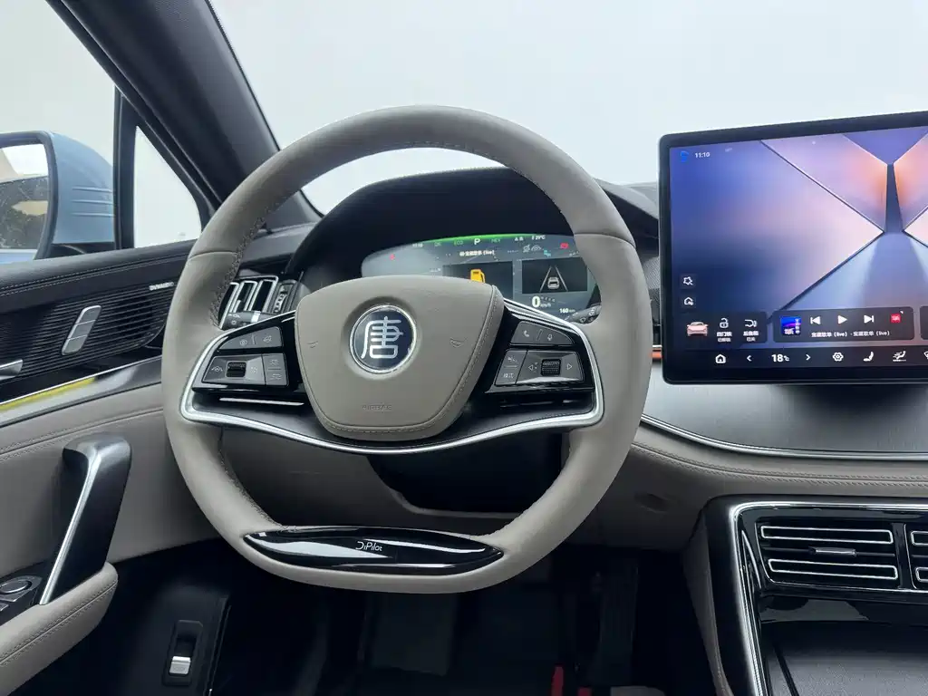 BYD Tang New Energy 2024 — фото 20