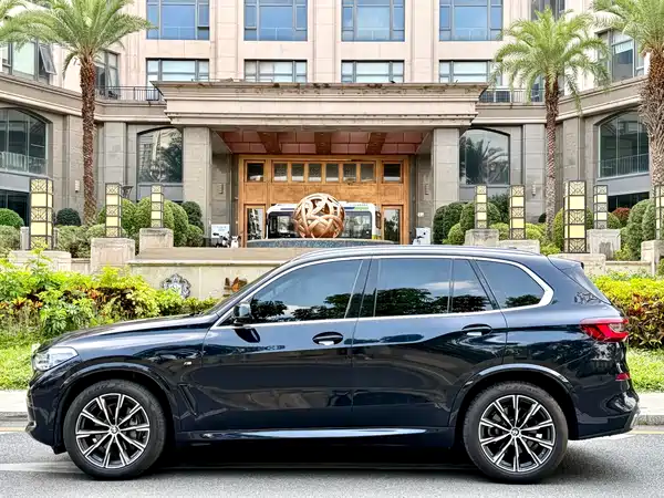 BMW X5 2021