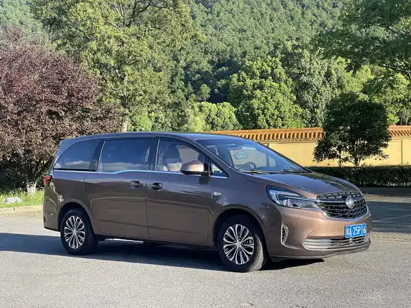 Buick GL8 2020