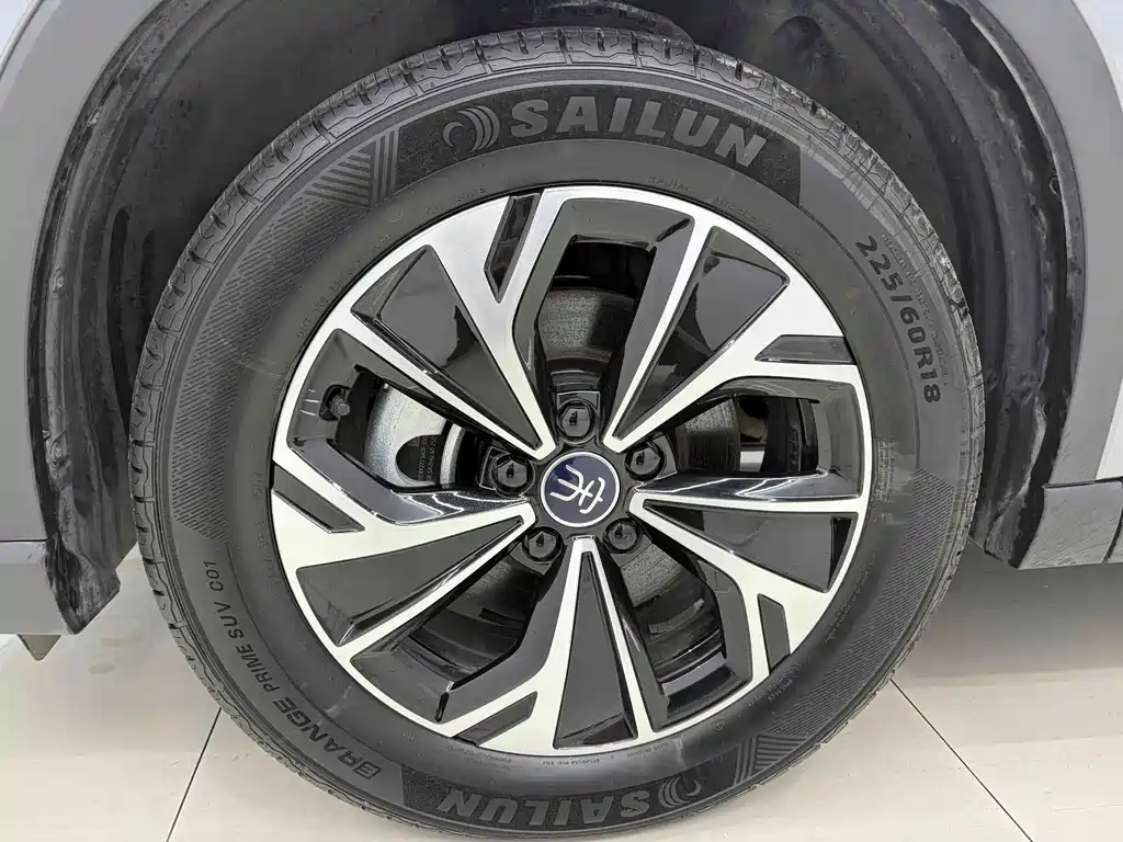 BYD Song Pro New Energy 2025 — фото 17