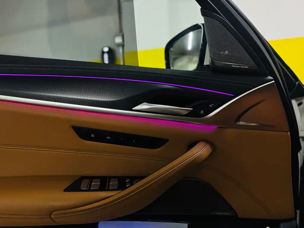 BMW 5 Series New Energy 2020