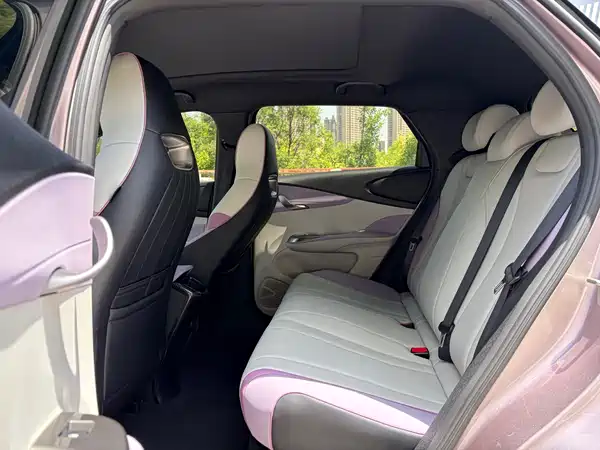 BYD Dolphin 2022