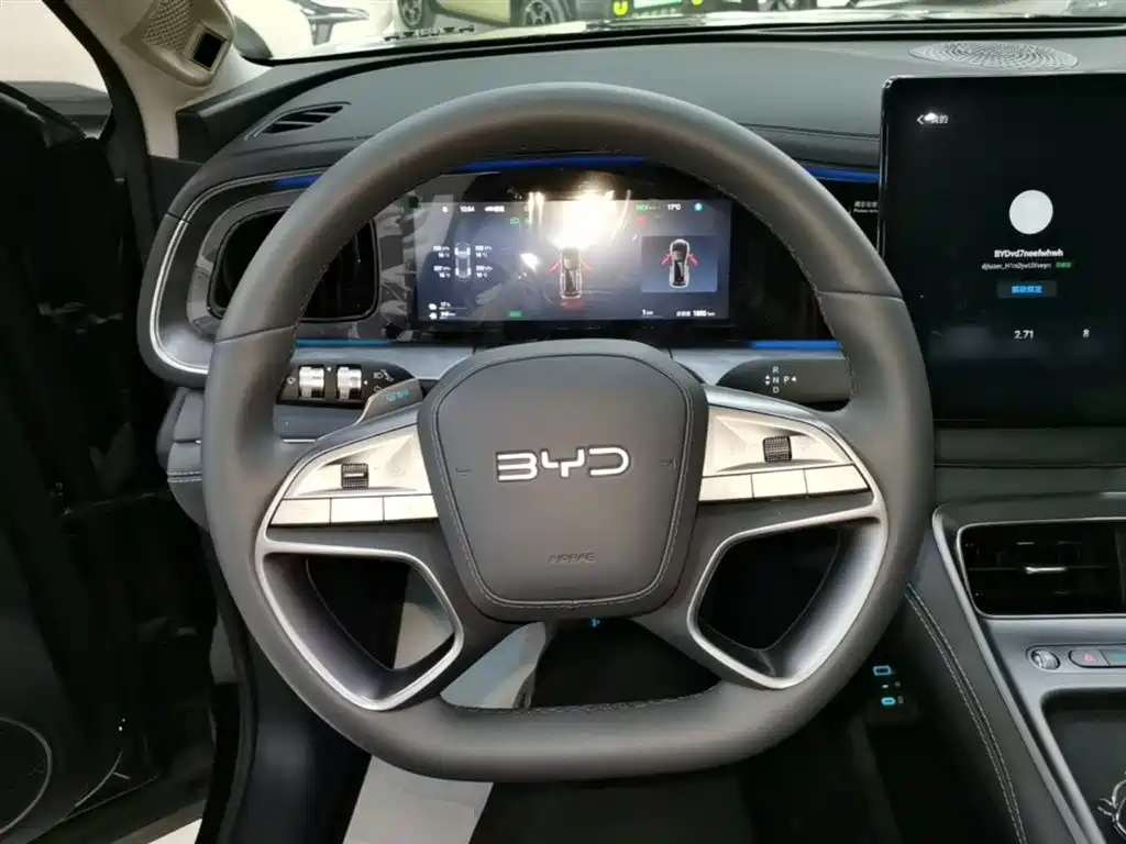 BYD Sealion 07 DM-i 2025 — фото 11