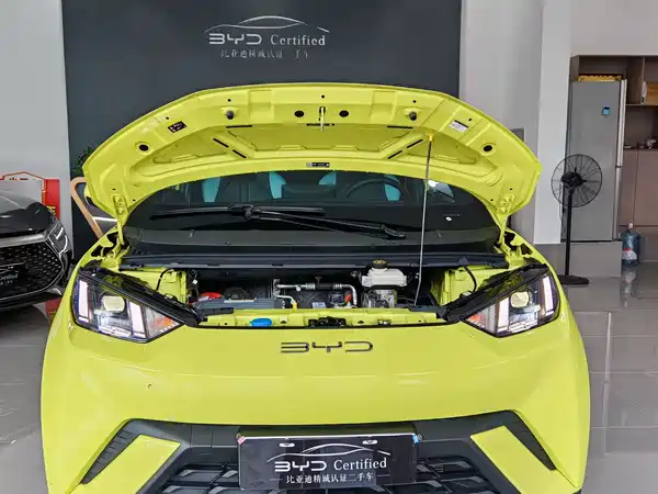 BYD Seagull 2024