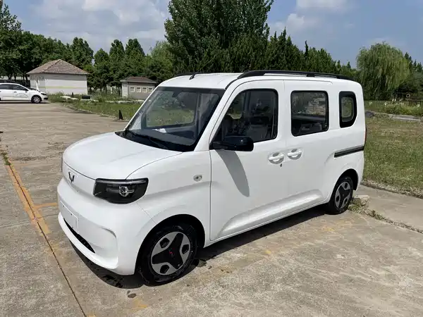 Wuling Zhiguang New Energy 2025
