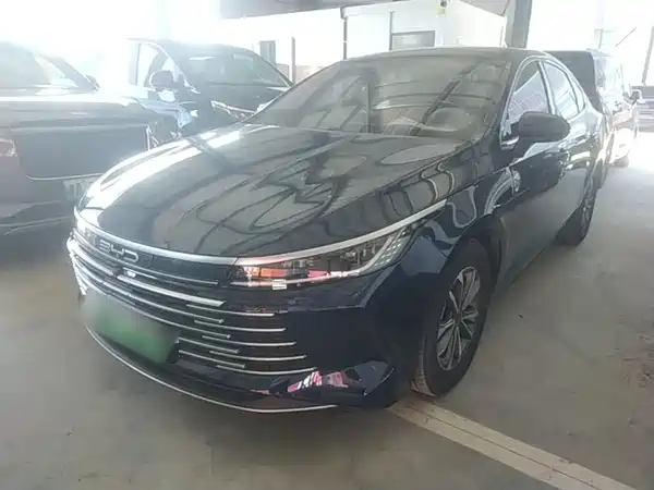 BYD Destroyer 05 2024