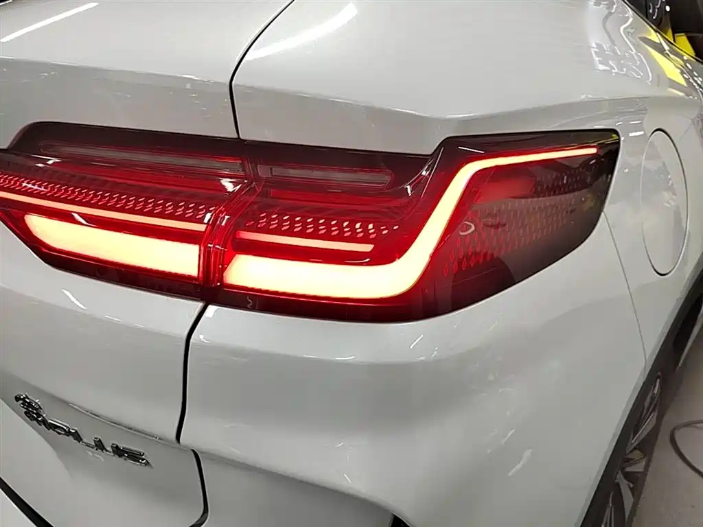 BYD PLUS New Energy 2025 — фото 8