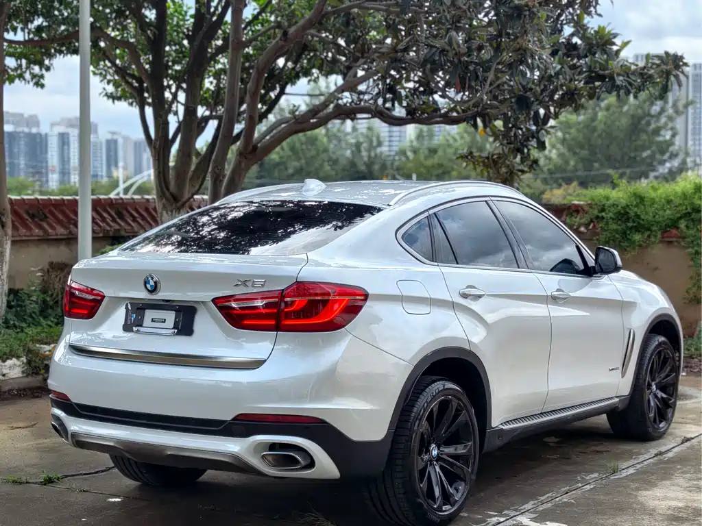 BMW X6 2019 — фото 7