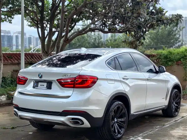 BMW X6 2019