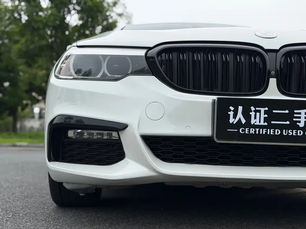 BMW 5 Series 2018 — фото 8
