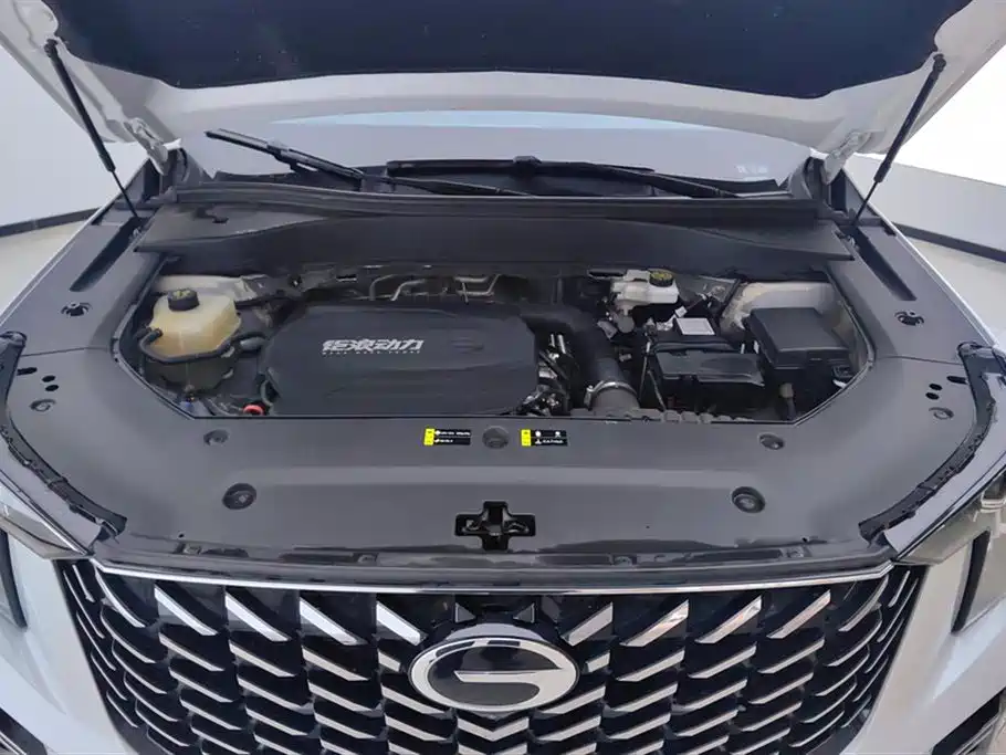GAC Motor Trumpchi GS8 2024 — фото 10