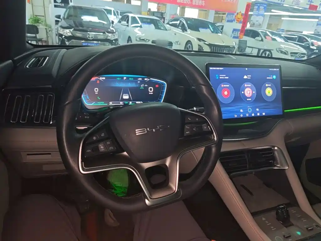 BYD PLUS New Energy 2024 — фото 10