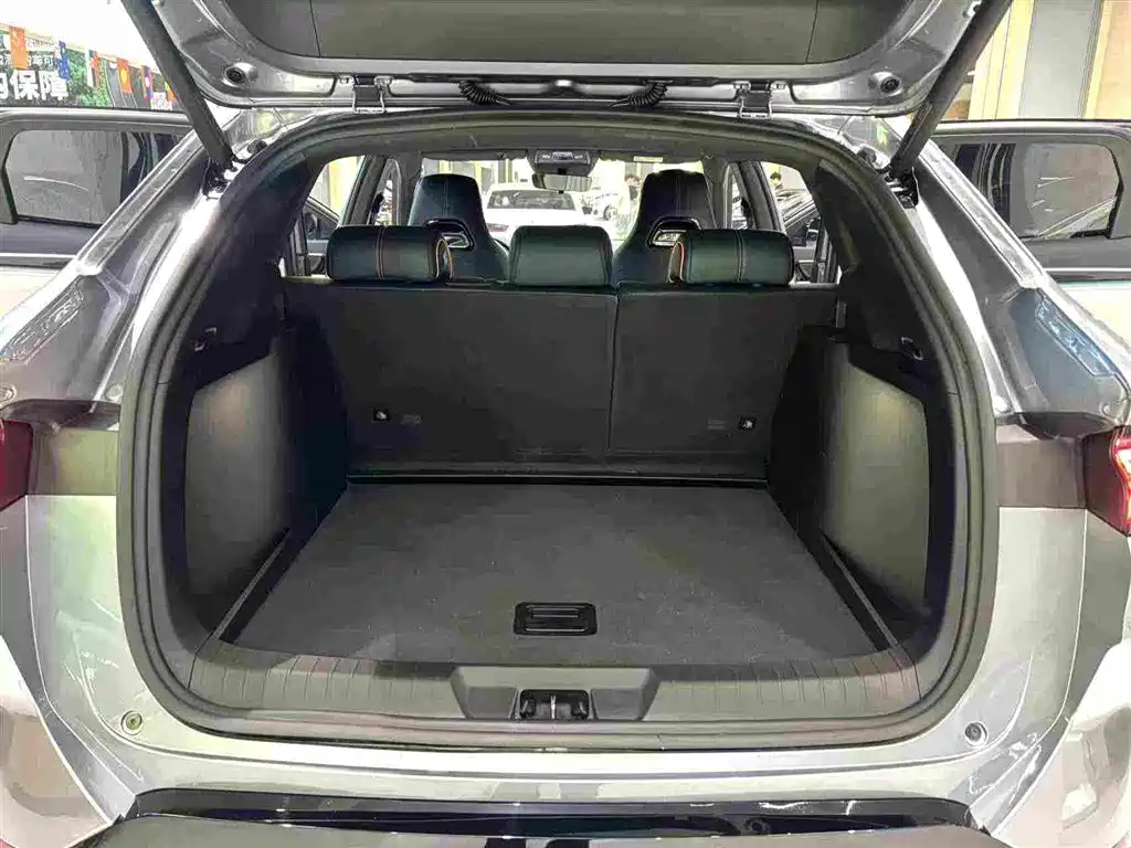 BYD Song PLUS New Energy 2024 — фото 18