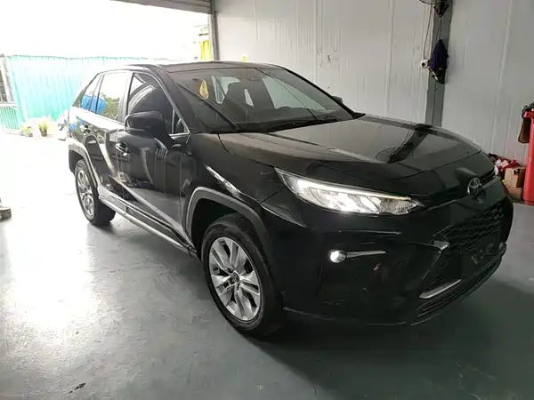 Toyota Wildlander 2020