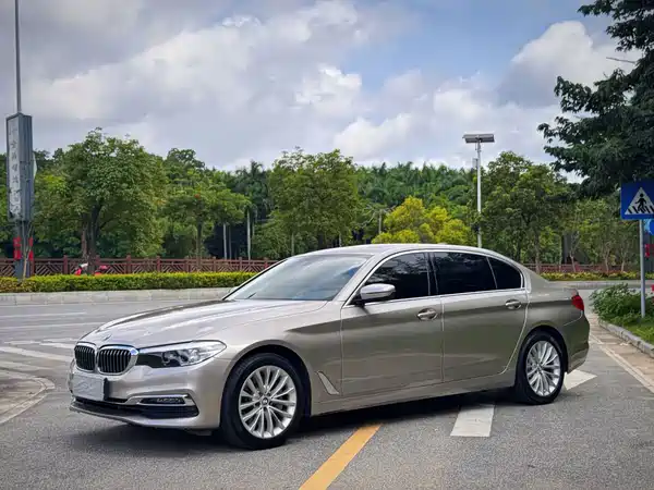 BMW 5 Series 2019