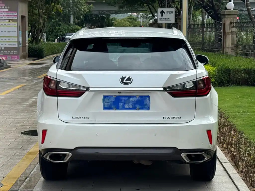 Lexus RX 2018 — фото 5