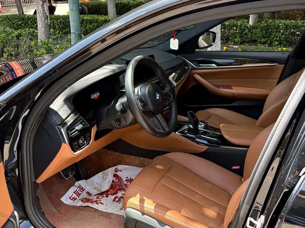 BMW 5 Series 2019