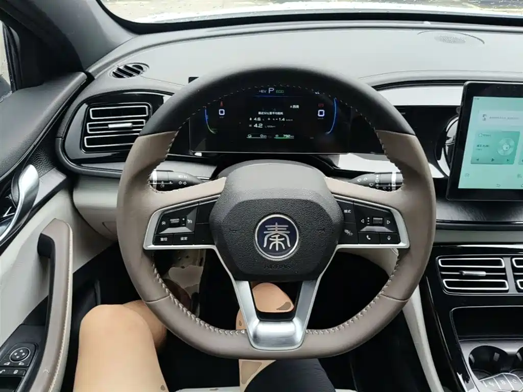 BYD Qin PLUS 2024 — фото 11