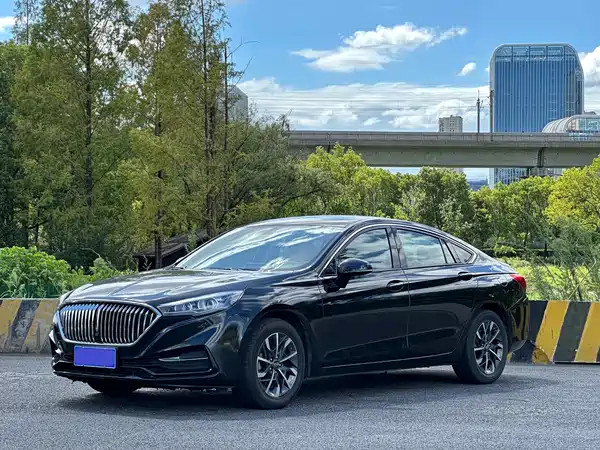 Hongqi H5 2020