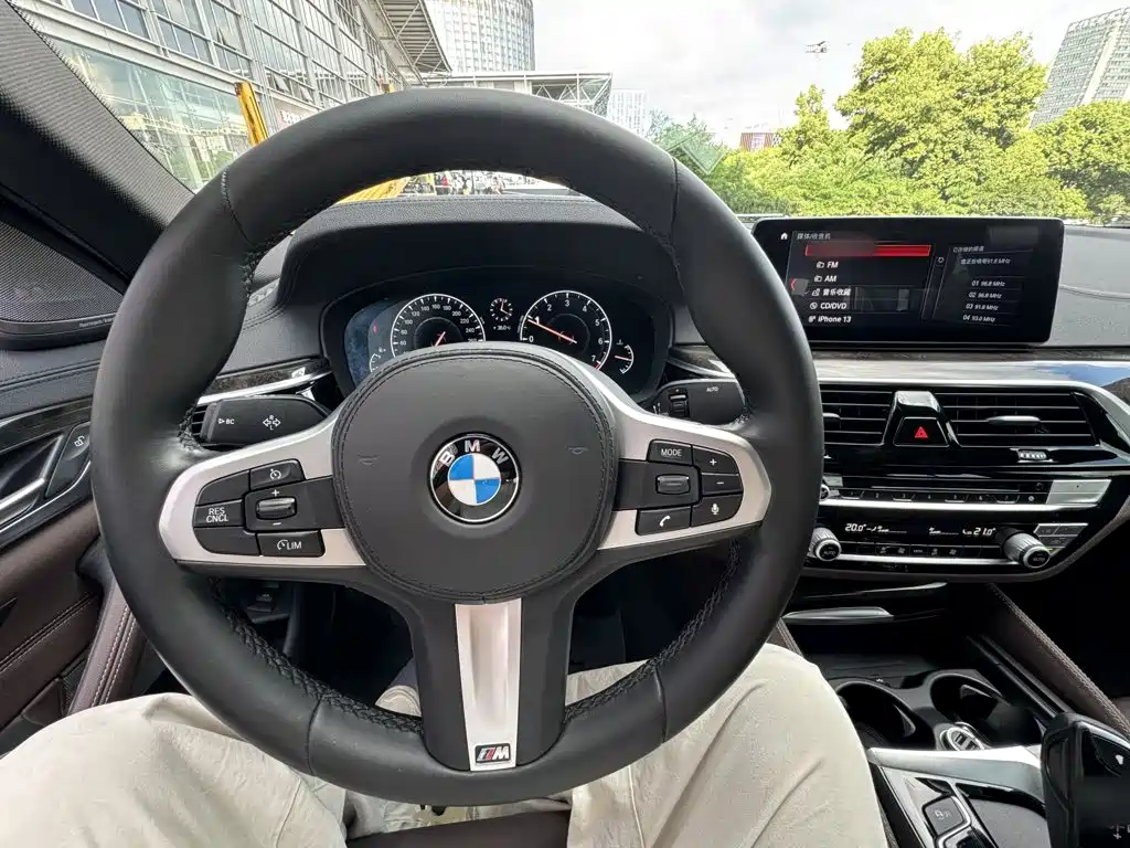 BMW 5 Series 2019 — фото 11