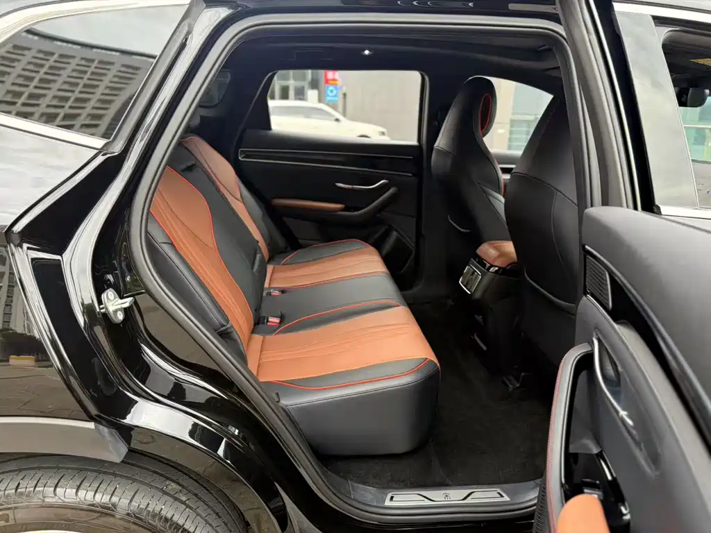 BYD PLUS New Energy 2023 — фото 11