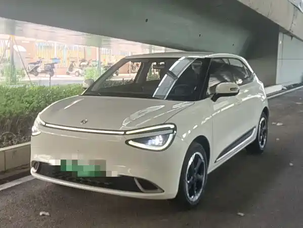 Dongfeng Nano 01 2025