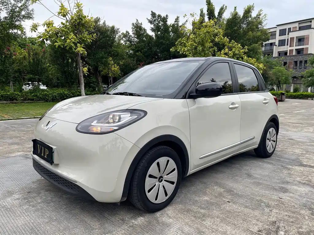 Wuling Bingo 2023
