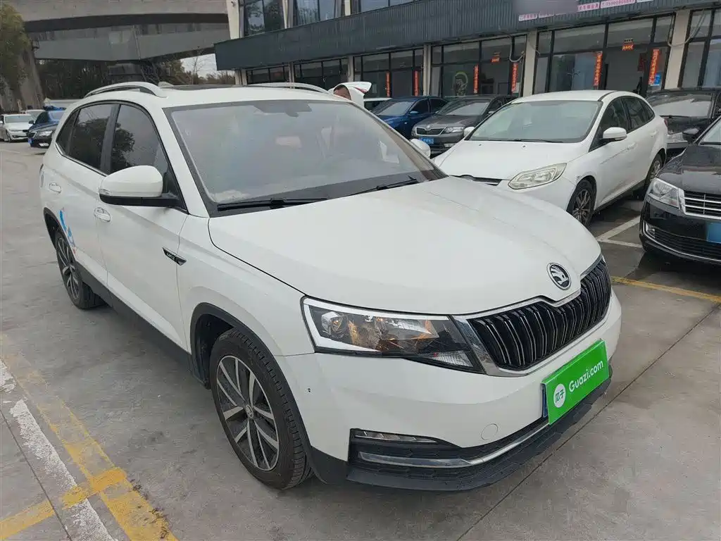 Skoda Kamiq 2019 — фото 22