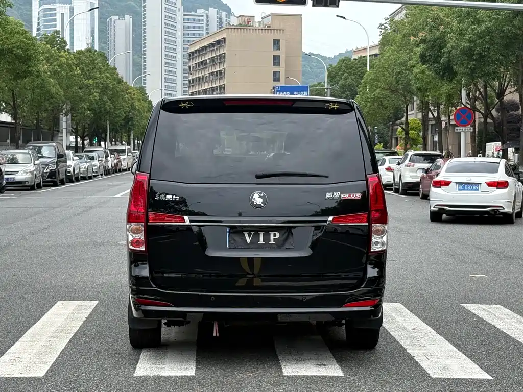 Fengxing Lingzhi PLUS 2023
