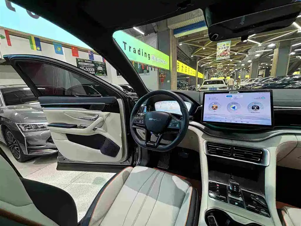 BYD Song PLUS New Energy 2024 — фото 23