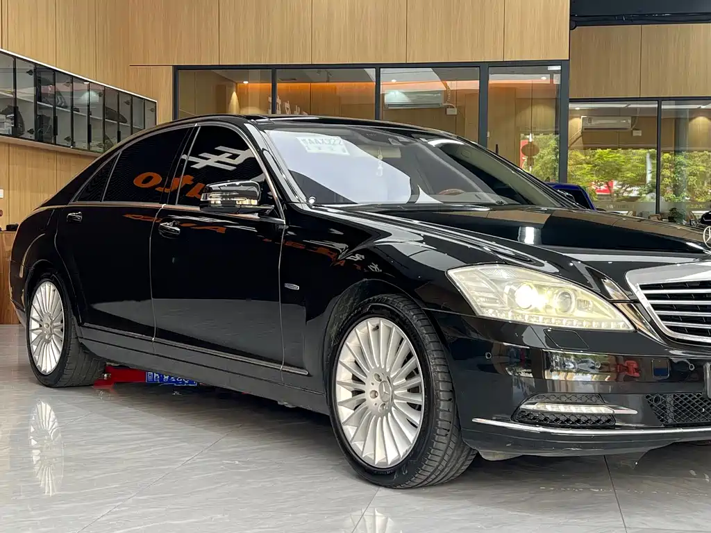 Mercedes-Benz S-Class 2010 — фото 11