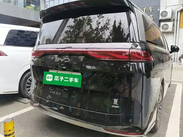 BYD Summer 2025