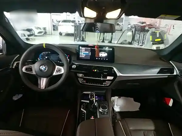 BMW 5 Series New Energy 2021