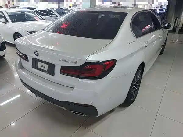 BMW 5 Series New Energy 2021