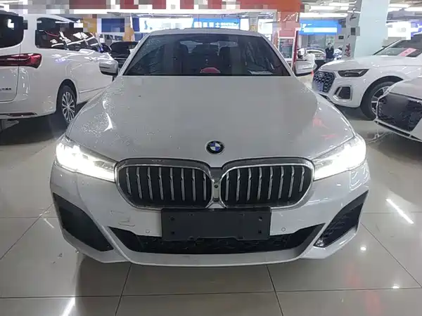 BMW 5 Series New Energy 2021