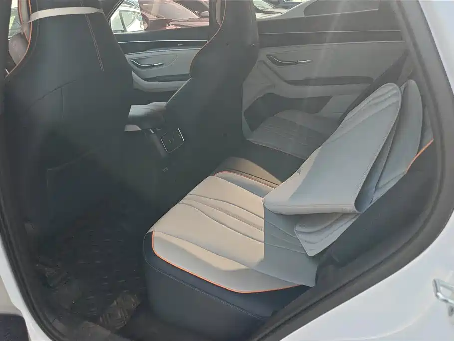 BYD PLUS New Energy 2021 — фото 11