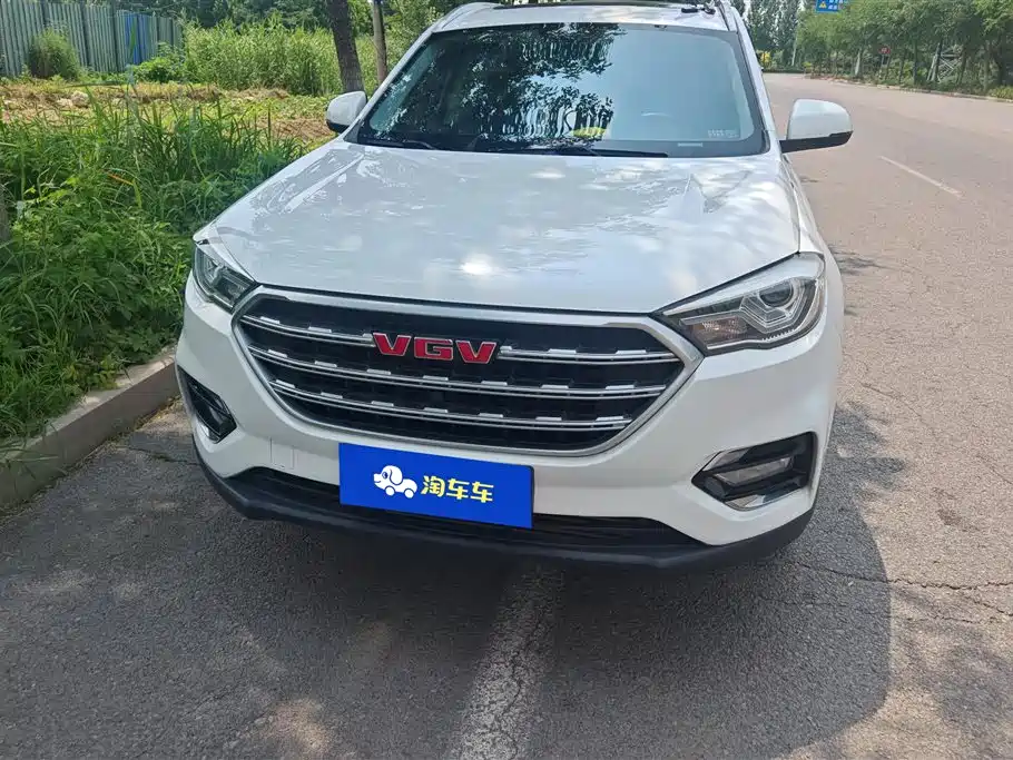 VGV U70 2020