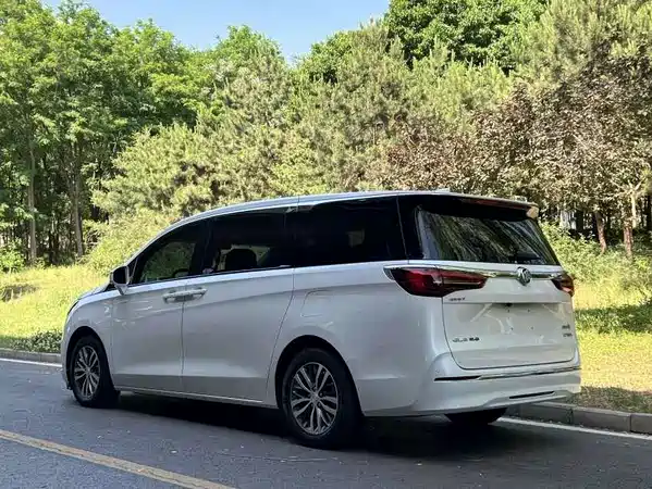 Buick GL8 2020