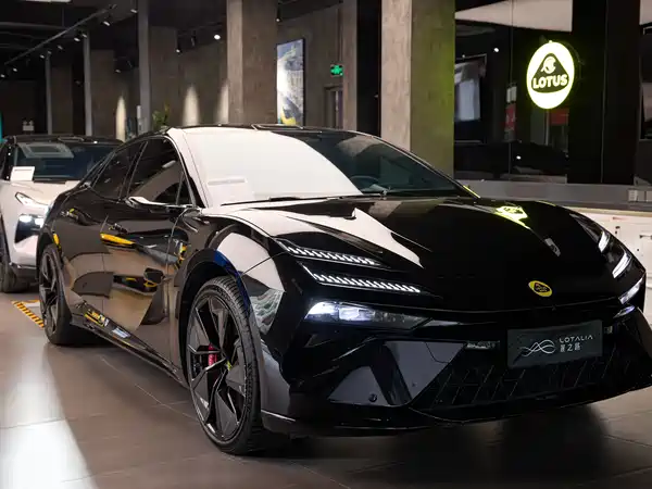 Lotus EMEYA 2024