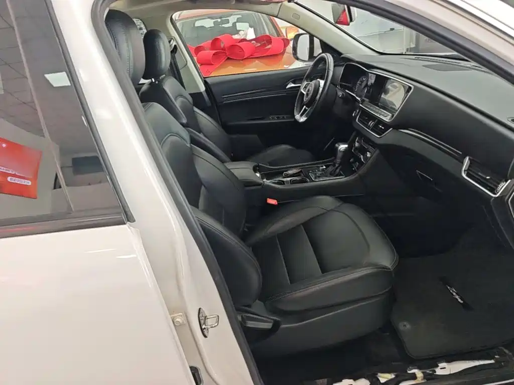 Zotye T600 Coupe 2018 — фото 25